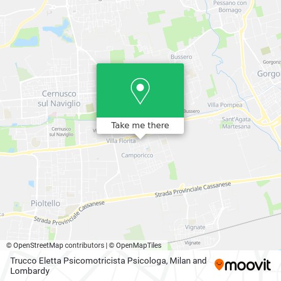 Trucco Eletta Psicomotricista Psicologa map