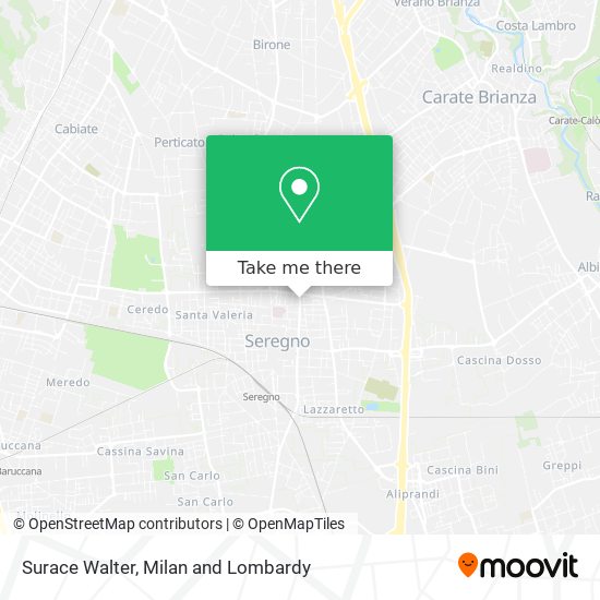 Surace Walter map