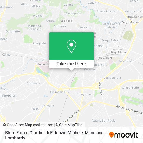 Blum Fiori e Giardini di Fidanzio Michele map