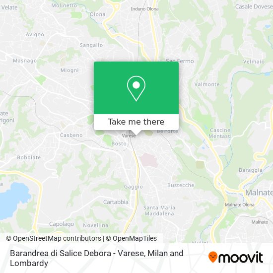 Barandrea di Salice Debora - Varese map