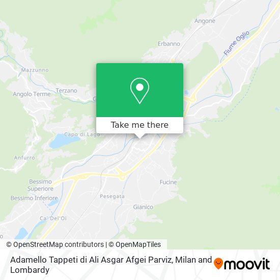 Adamello Tappeti di Ali Asgar Afgei Parviz map