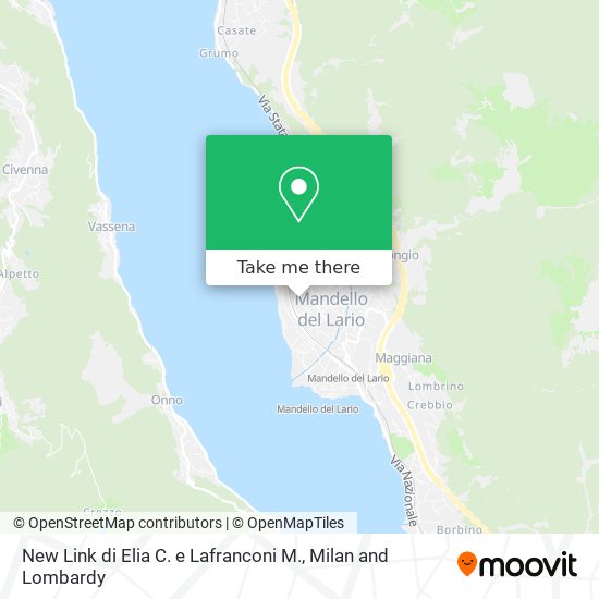 New Link di Elia C. e Lafranconi M. map