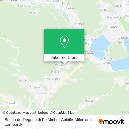 Bacco del Pegaso di De Micheli Achille map