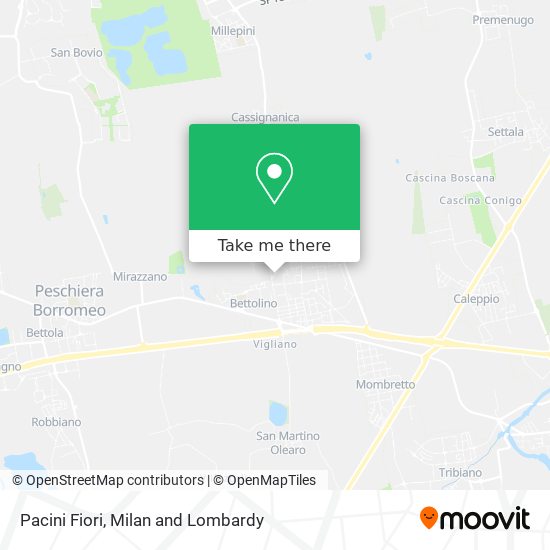 Pacini Fiori map