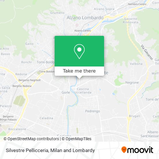 Silvestre Pellicceria map