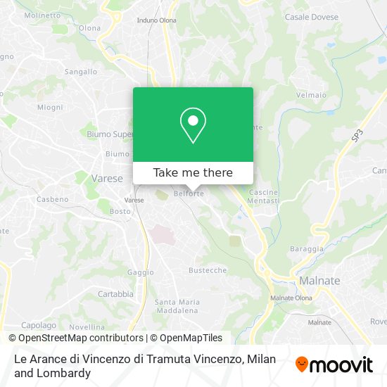 Le Arance di Vincenzo di Tramuta Vincenzo map