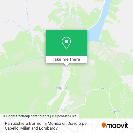 Parrucchiera Bormolini Monica un Diavolo per Capello map