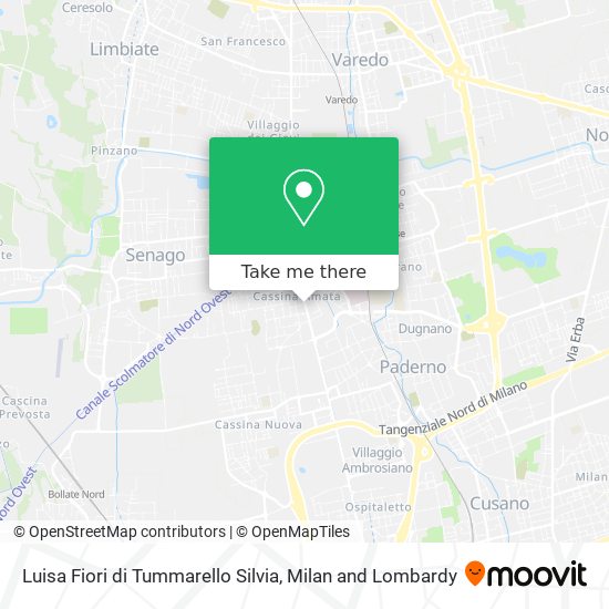 Luisa Fiori di Tummarello Silvia map