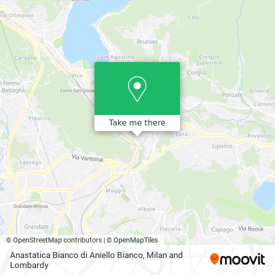 Anastatica Bianco di Aniello Bianco map