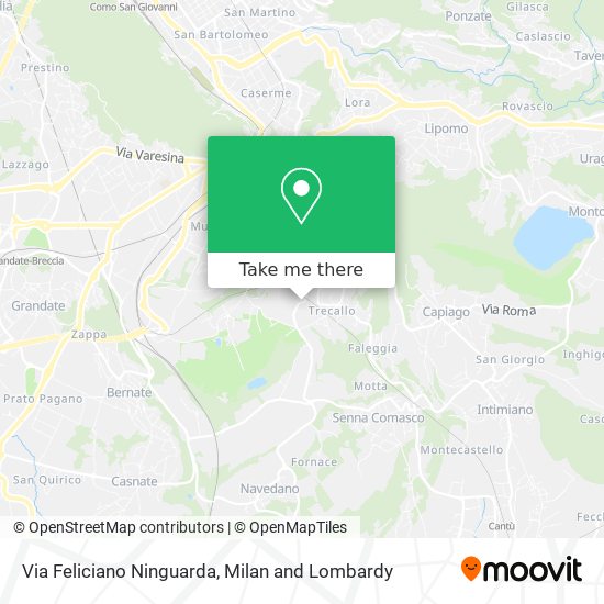 Via Feliciano Ninguarda map