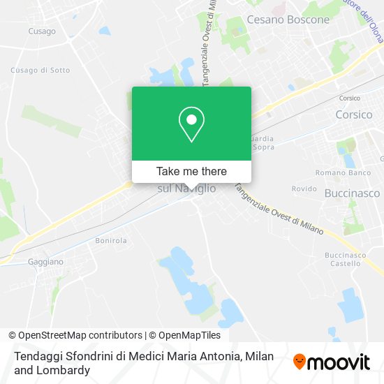 Tendaggi Sfondrini di Medici Maria Antonia map