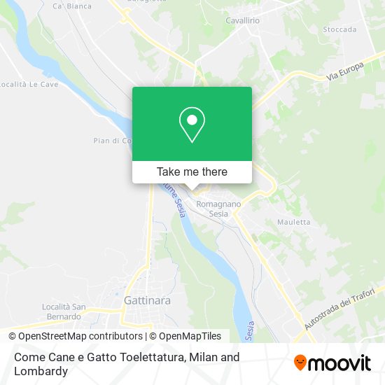 Come Cane e Gatto Toelettatura map