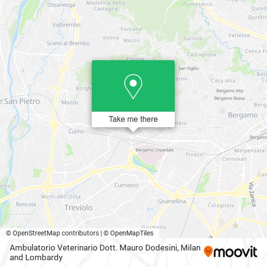 Ambulatorio Veterinario Dott. Mauro Dodesini map