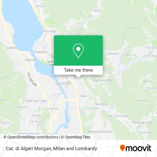 Cat. di Algeri Morgan map