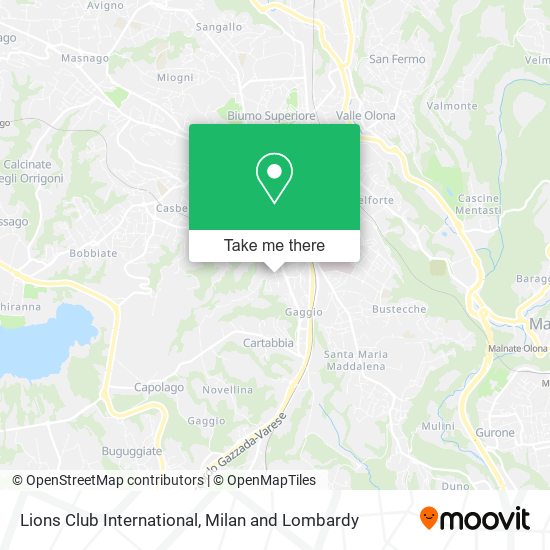 Lions Club International map