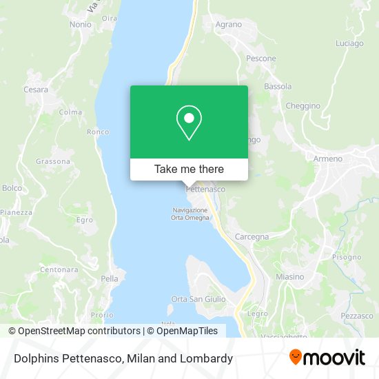 Dolphins Pettenasco map