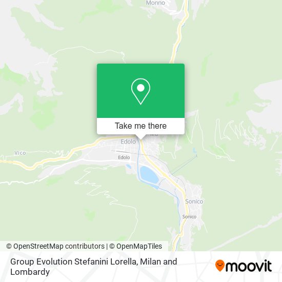 Group Evolution Stefanini Lorella map