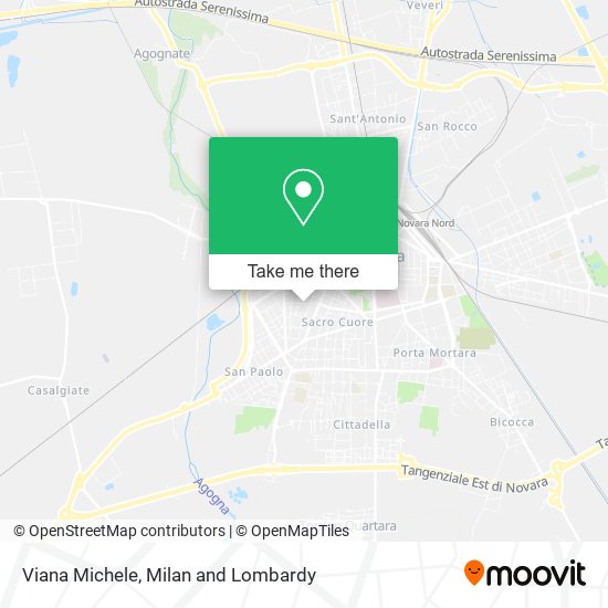 Viana Michele map