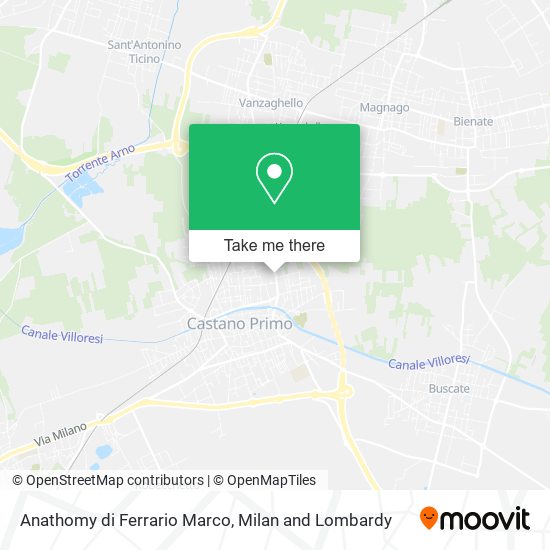 Anathomy di Ferrario Marco map