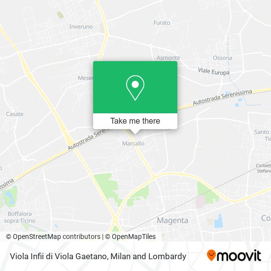 Viola Infii di Viola Gaetano map