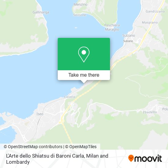 L'Arte dello Shiatsu di Baroni Carla map