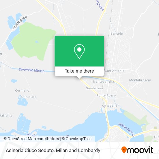 Asineria Ciuco Seduto map