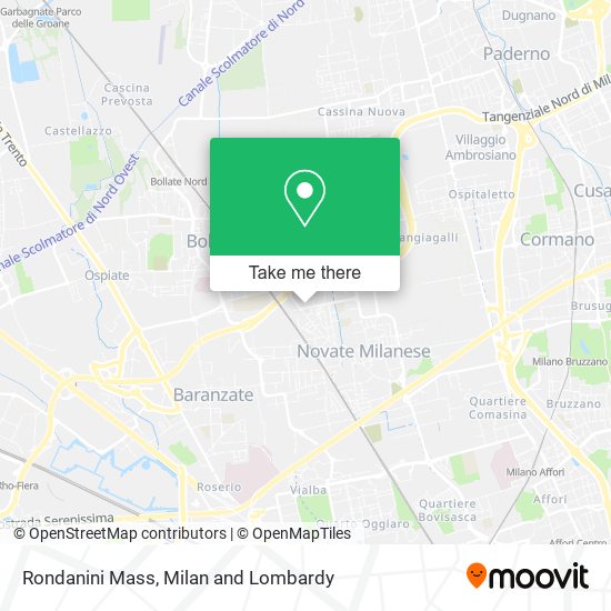 Rondanini Mass map
