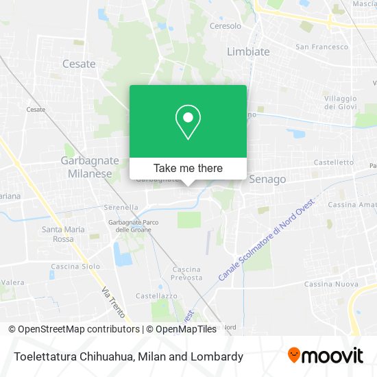 Toelettatura Chihuahua map