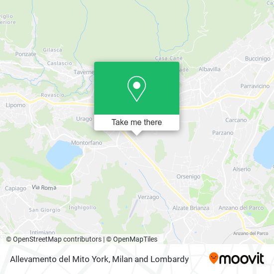 Allevamento del Mito York map