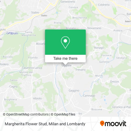 Margherita Flower Stud map