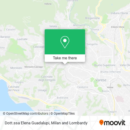 Dott.ssa Elena Guadalupi map