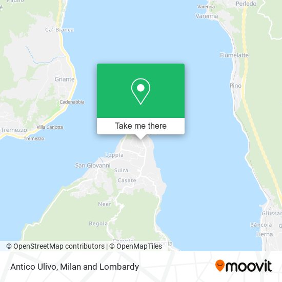 Antico Ulivo map