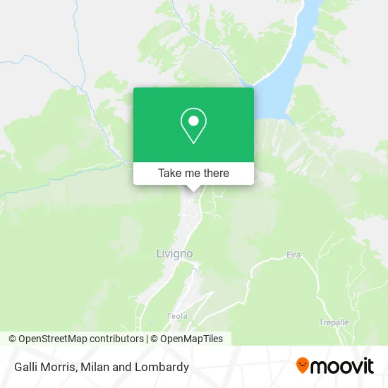 Galli Morris map