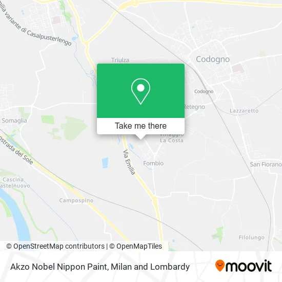 Akzo Nobel Nippon Paint map