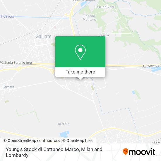 Young's Stock di Cattaneo Marco map
