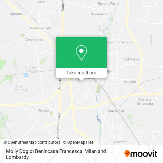 Molly Dog di Benincasa Francesca map