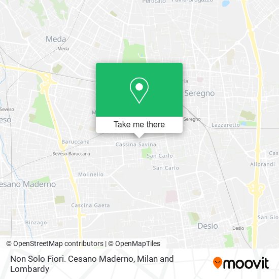 Non Solo Fiori. Cesano Maderno map