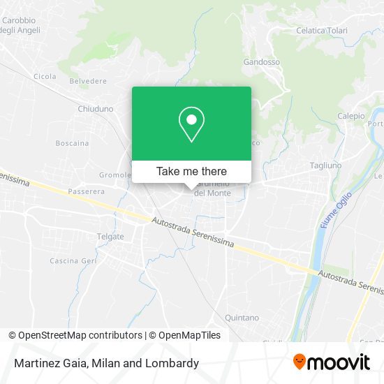 Martinez Gaia map