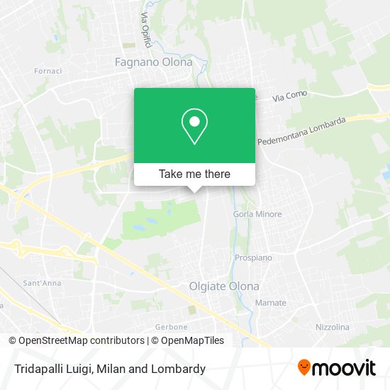 Tridapalli Luigi map