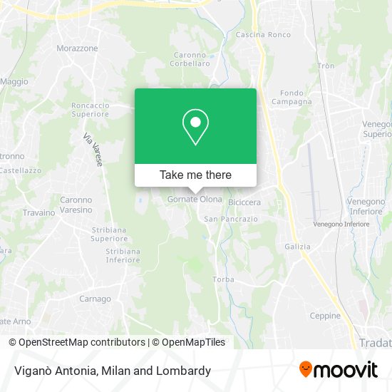Viganò Antonia map