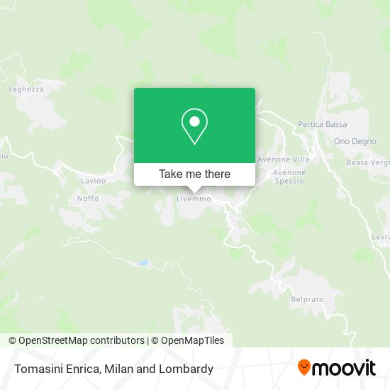 Tomasini Enrica map