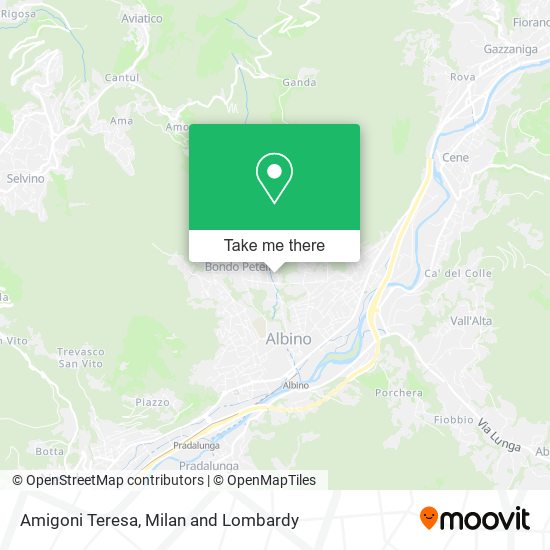 Amigoni Teresa map