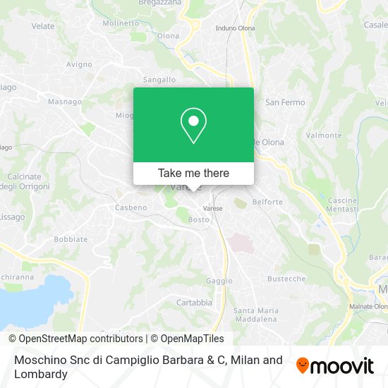Moschino Snc di Campiglio Barbara & C map