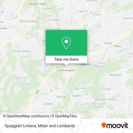 Spaggiari Liviana map