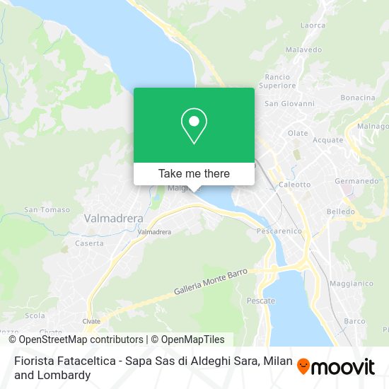 Fiorista Fataceltica - Sapa Sas di Aldeghi Sara map