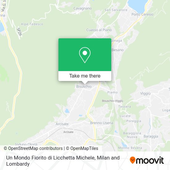 Un Mondo Fiorito di Licchetta Michele map