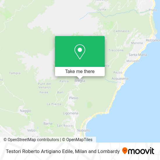 Testori Roberto Artigiano Edile map