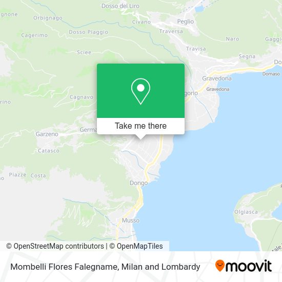 Mombelli Flores Falegname map