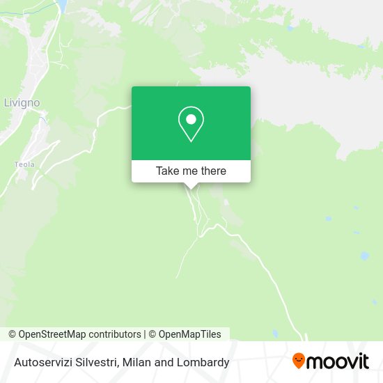 Autoservizi Silvestri map