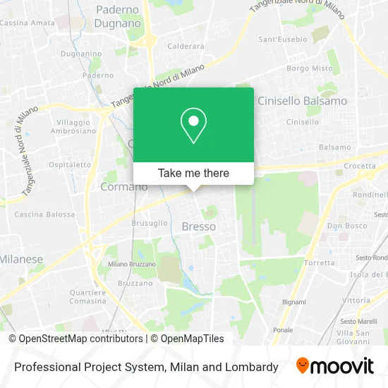 Professional Project System map